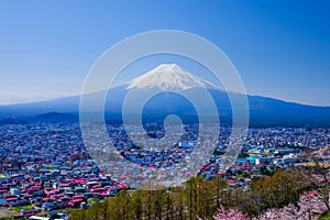 Mt. Fuji With Cherry Blossom (Sakura )in Spring, Fujiyoshida, Japan