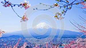 Mt. Fuji With Cherry Blossom (Sakura )in Spring, Fujiyoshida, Japan