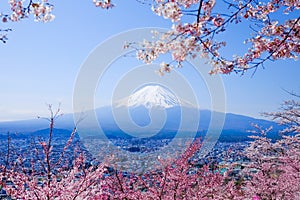 Mt. Fuji With Cherry Blossom (Sakura )in Spring, Fujiyoshida, Japan photo