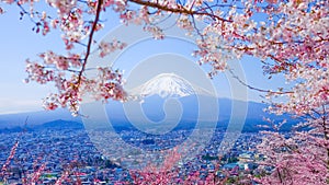 Mt. Fuji With Cherry Blossom (Sakura )in Spring, Fujiyoshida, Japan