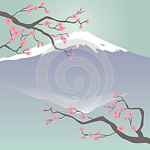 Mt Fuji and Cherry Blossoms