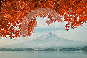 Mt. Fuji with fall colors in Japan photo