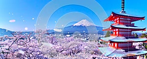 Mt. Fuji, five-storied pagoda, and cherry blossoms photo