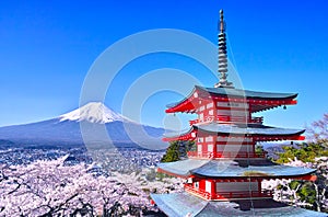 Mt. Fuji, five-storied pagoda, and cherry blossoms photo