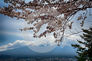 Mt. Fuji, Japan