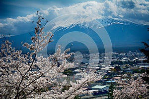 Mt. Fuji, Japan