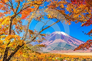 Mt. Fuji, Japan