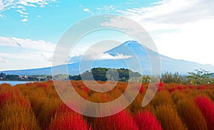 Mt. Fuji, Japan