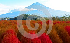 Mt. Fuji, Japan