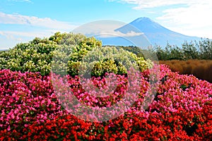 Mt. Fuji, Japan