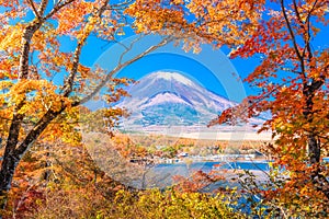 Mt. Fuji, Japan Autumn Landscape