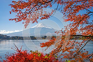 Mt. Fuji, Japan in Autumn Season