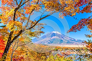Mt. Fuji, Japan with Fall Foliage