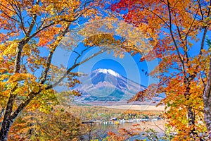 Mt. Fuji, Japan with Fall Foliage