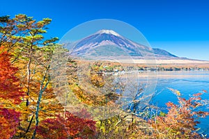 Mt. Fuji, Japan with Fall Foliage