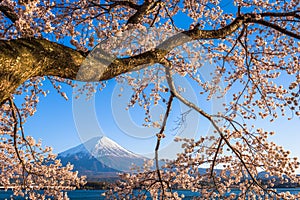 Mt. Fuji, Japan on Lake Kawaguchi