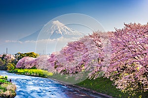 Mt. Fuji, Japan from Shizuoka Prefecture in Spring