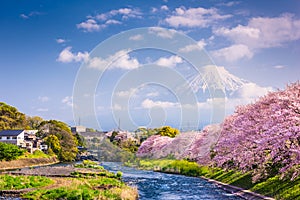 Mt. Fuji, Japan spring landscape