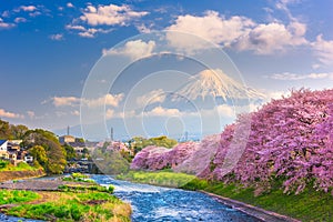 Mt. Fuji, Japan spring landscape