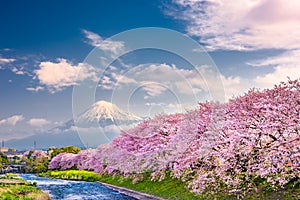 Mt. Fuji, Japan spring landscape