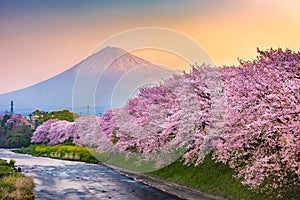 Mt. Fuji, Japan from Shizuoka Prefecture in Spring