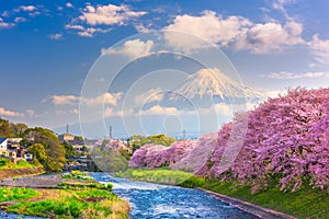 Mt. Fuji, Japan spring landscape