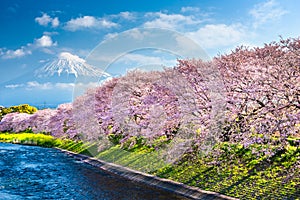 Mt. Fuji, Japan from Shizuoka Prefecture in Spring
