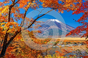 Mt. Fuji, Japan from Yamanaka Lake in Autumn