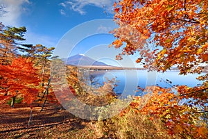 Mt. Fuji, Japan from Yamanaka Lake in Autumn