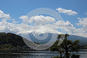 Mt.Fuji at Lake Kawaguchi