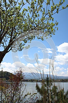 Mt.Fuji at Lake Kawaguchi