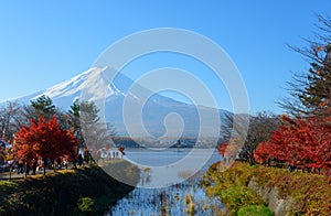 Mt.Fuji and Lake Kawaguchi in autumn