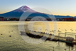 Mt. Fuji at lake Kawaguchiko