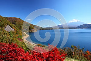 Mt. Fuji and Lake Motosu