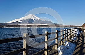 Mt.Fuji at Lake Yamanaka