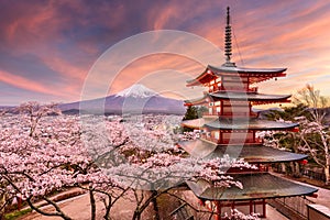 Mt. Fuji and Pagoda in Spring