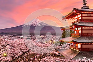 Mt. Fuji and Pagoda in Spring