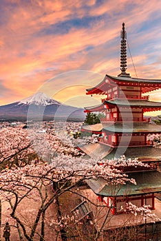 Mt. Fuji and Peace Pagoda in Spring Season