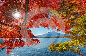 Mt. fuji with red maple in Autumn, Kawaguchiko Lake, Japan