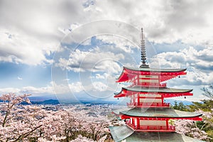 Mt Fuji with red pagoda in cherry blossom sakura