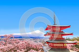 Mt Fuji with red pagoda in cherry blossom sakura in spring season.