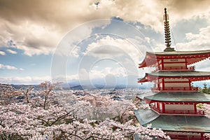 Mt Fuji with red pagoda in cherry blossom sakura in spring season.