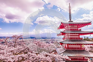 Mt Fuji with red pagoda in cherry blossom sakura in spring season.