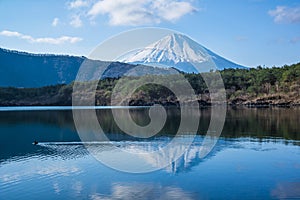 Mt.Fuji reflecting