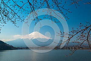 Mt Fuji rises above Lake Kawaguchi