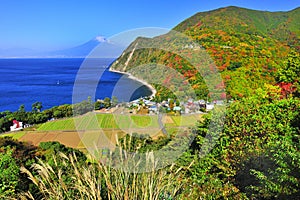 Mt Fuji and rural scape