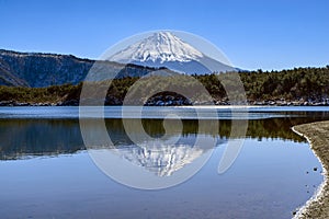 Mt. Fuji and Saiko Lake