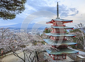 Mt.fuji with sakura foreground at Chureito pagoda