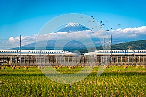 Mt. Fuji with Shinkansen train and rice field at Shizuoka, Japan