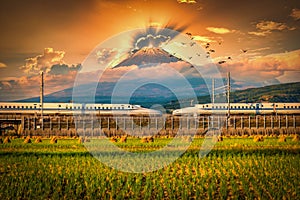 Mt. Fuji with Shinkansen train and rice field at Shizuoka, Japan